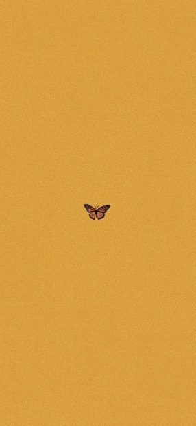 Minimalist Butterfly Wallpaper Aesthetic Wallpaper HD.