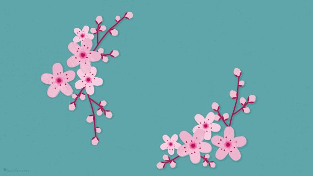 Minimalist Cherry Blossom Wallpaper HD.
