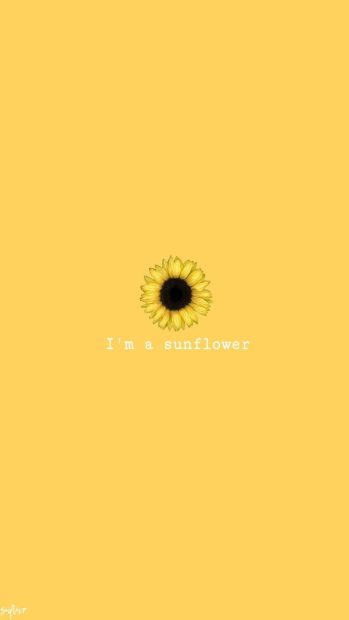 Minimalist Cute Sunflower Background.
