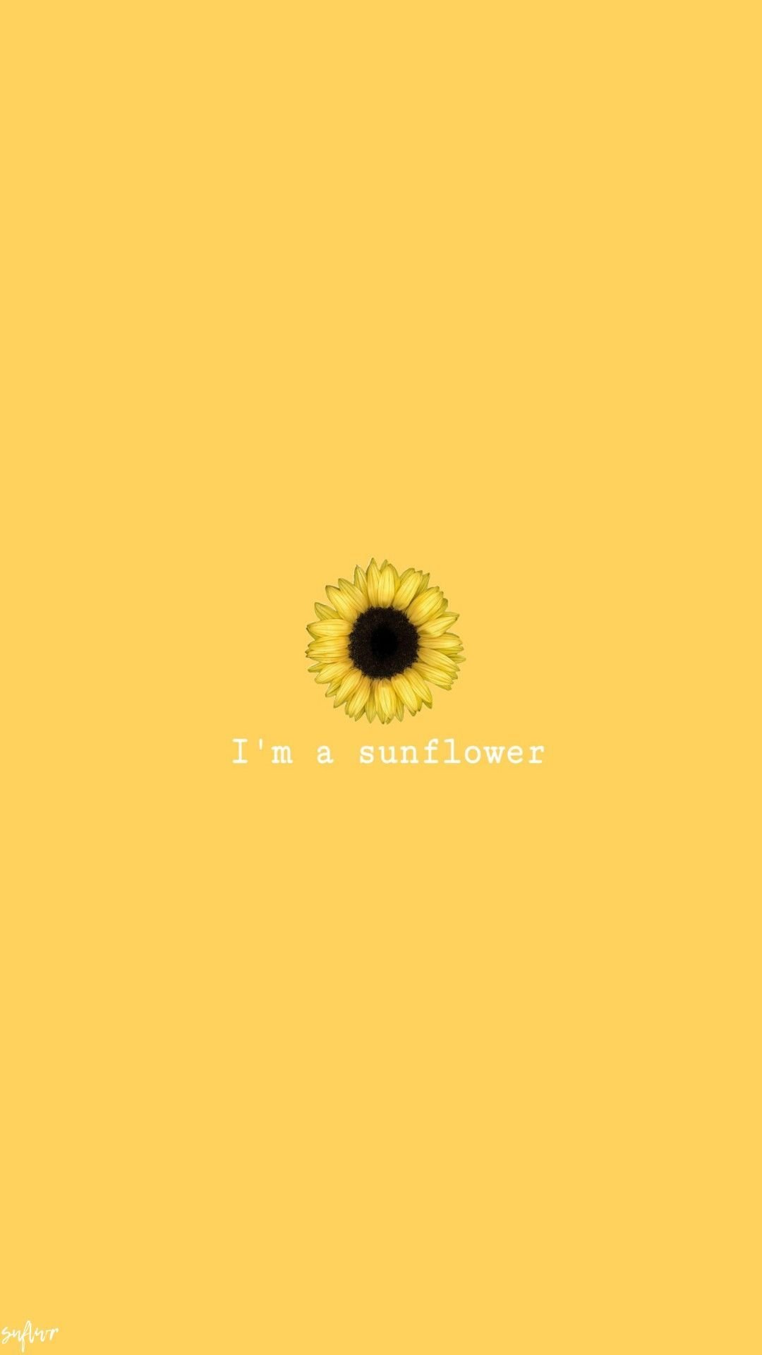 Cute Sunflower Backgrounds HD