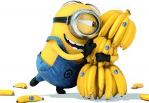 Minions Wallpapers HD Free download.
