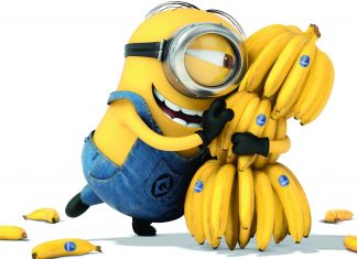 Minions Wallpapers HD Free download.