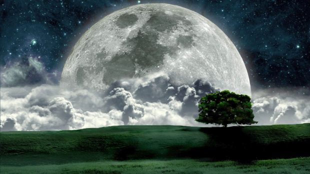 Moon HD Wallpaper Free download.