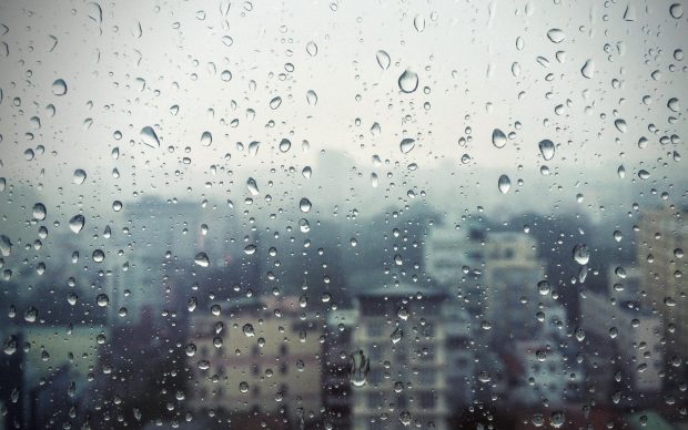 Morning Rain Background HD.
