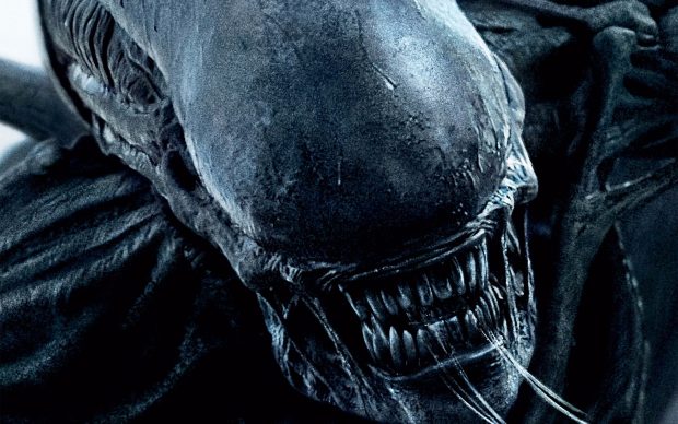 Movies Xenomorph Wallpaper HD.