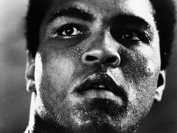 Muhammad Ali Wallpaper High Resolution.