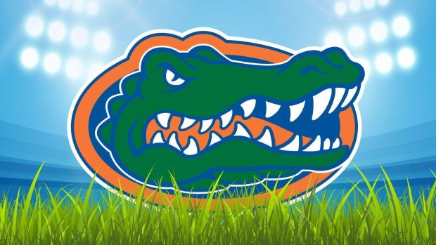 NFL Florida Gators Wallpaper HD.