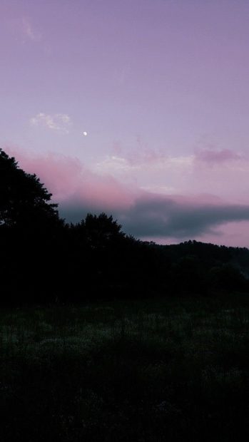 Nature Aesthetic Image Free Download.