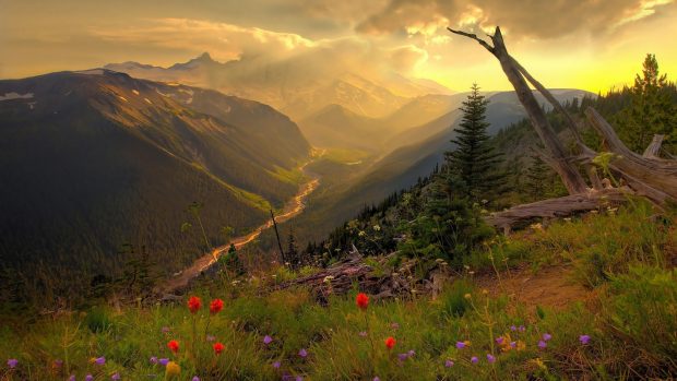 Nature Backgrounds Desktop.