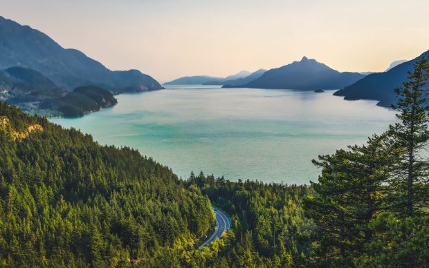 Nature Backgrounds HD Free download.