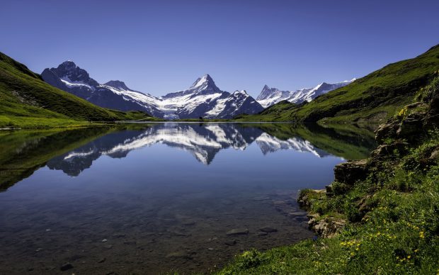 Nature Backgrounds High Quality.