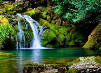 Nature Wallpapers HD  4K Backgrounds Images APK for Android Download