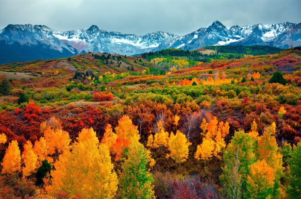 Nature Mac Backgrounds 4K HD.