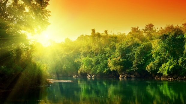 Nature Wallpaper HD 1080p.