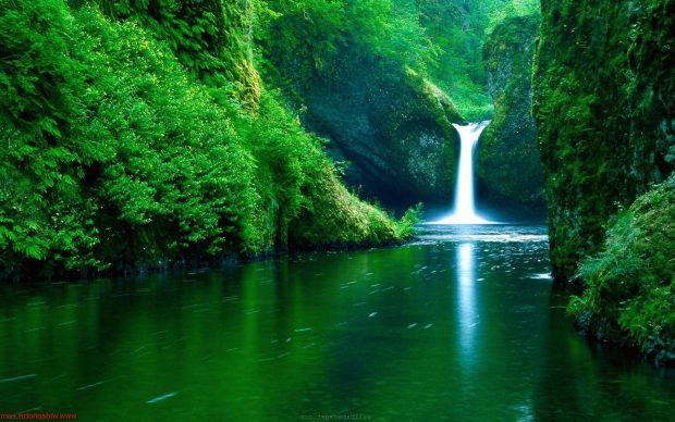 Nature Wide Screen Backgrounds.