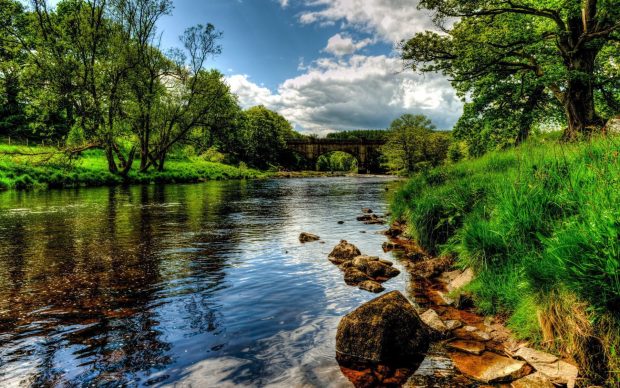 Nature Wide Screen Backgrounds HD.