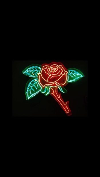 Neon Aesthetic HD Wallpaper Rose.