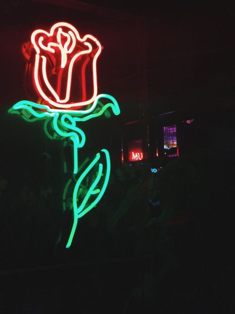 Neon Aesthetic Rose Background.