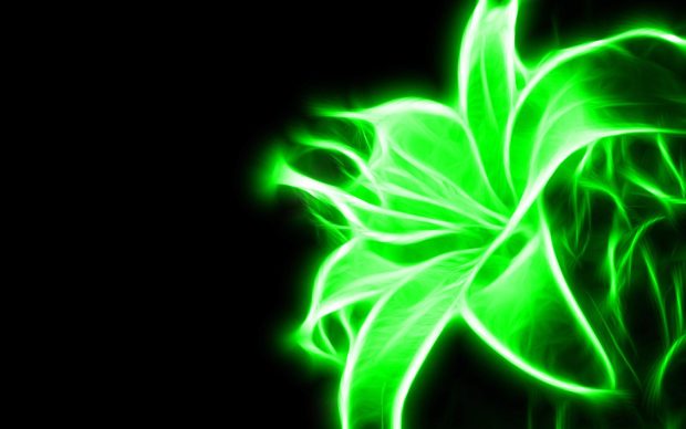 Neon Green Wide Screen Wallpaper HD.