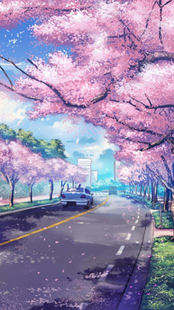 New Aesthetic Anime Wallpaper Iphone Wallpaper HD Sakura.