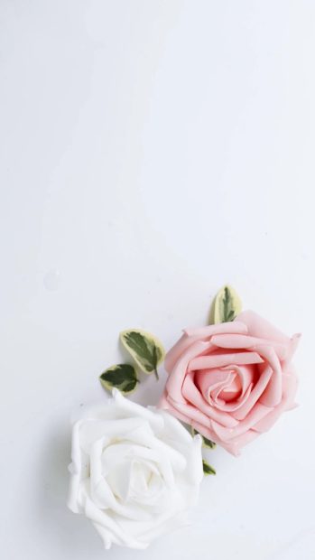 New Aesthetic Wallpaper White Wallpaper HD Flower.