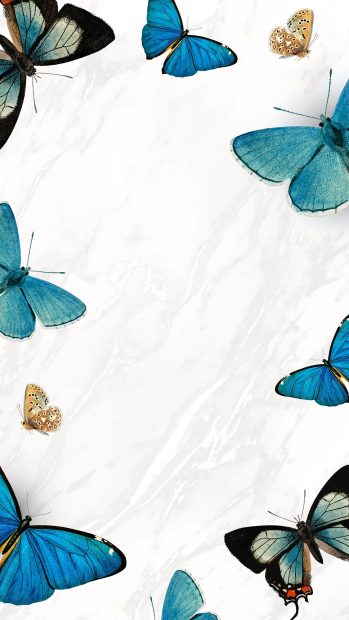 New Blue Butterfly Wallpaper Aesthetic HD.