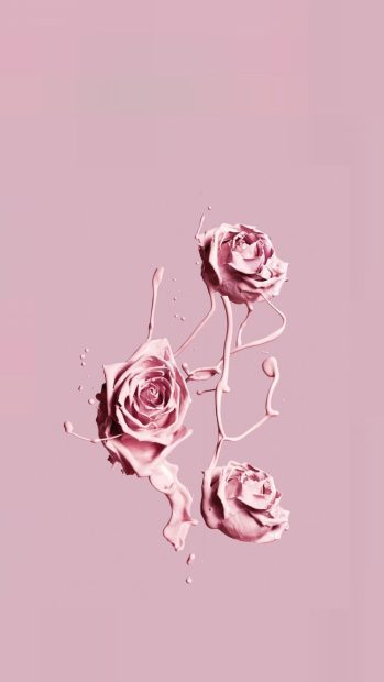 New Pink Wallpaper Aesthetic Wallpaper HD Flower.