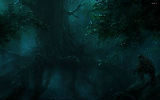 Night Dark Forest Wallpaper HD.