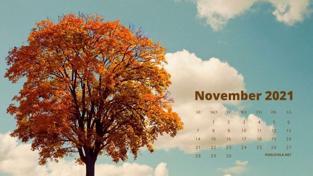 November 2021 Calendar Desktop Wallpaper.