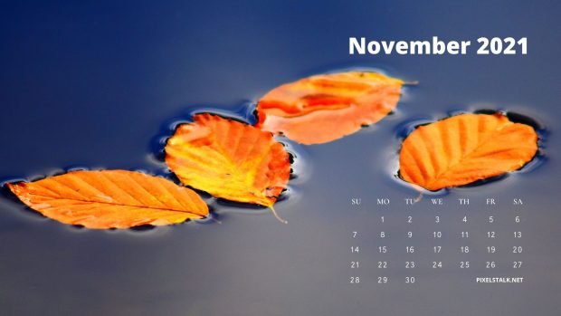 November 2021 Desktop Wallpaper.