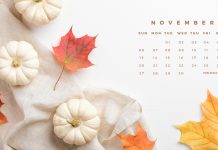 November 2022 Calendar Background HD.