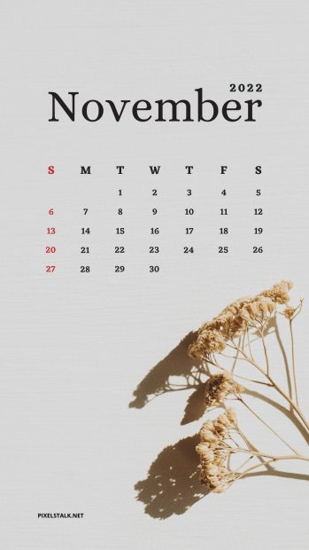 November 2022 Calendar Phone HD Wallpaper.