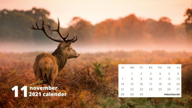 November Calendar Desktop Wallpaper.