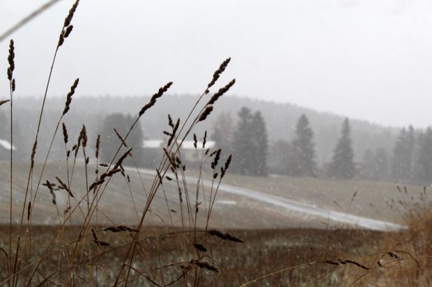 November Landscape Backgrounds (1).