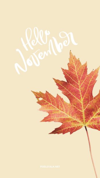 November Wallpaper for iPhone.