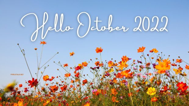 October 2022 HD Wallpaper Free download.