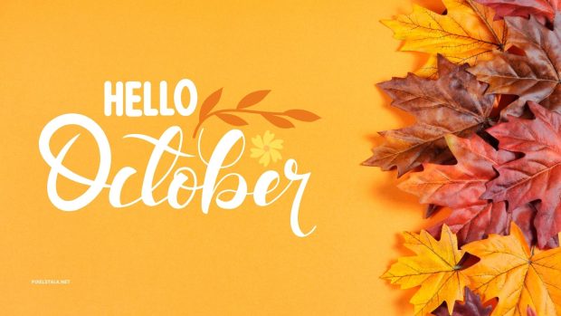 October 2022 Wallpaper Free Download.