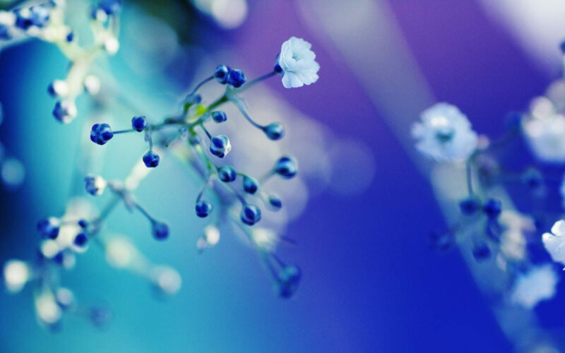 Cute Blue Computer Wallpapers - PixelsTalk