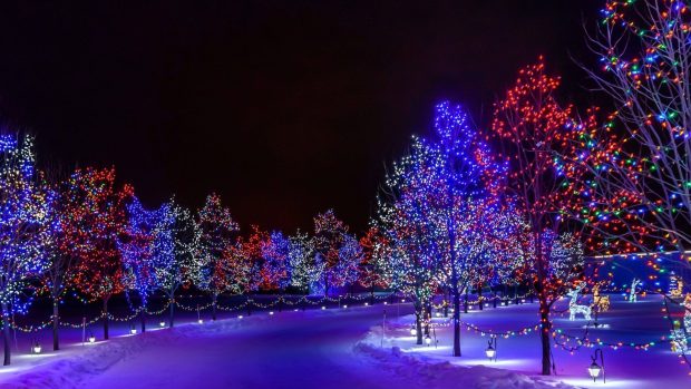 Original Winter Lights Wallpaper.