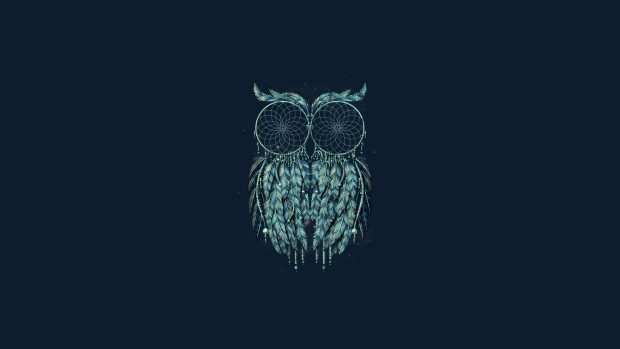 Owl HD Wallpaper.