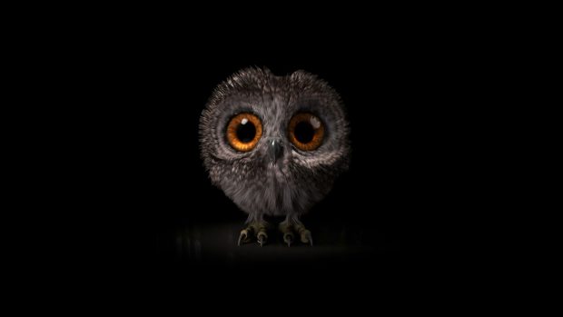 Owl Wallpaper High Quality.