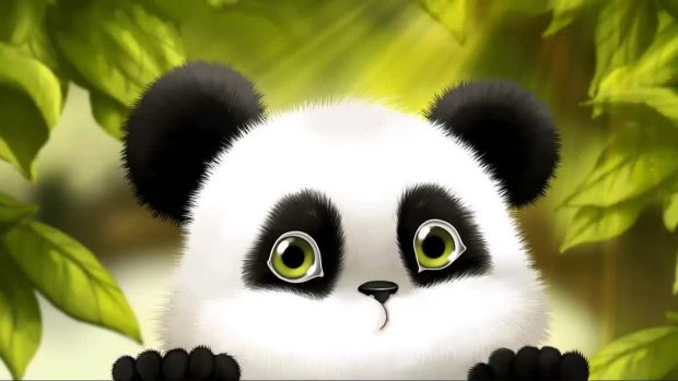 Panda Wallpaper HD 1080p.