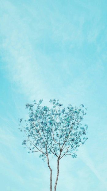 Pastel Blue Wallpaper Aesthetic HD.