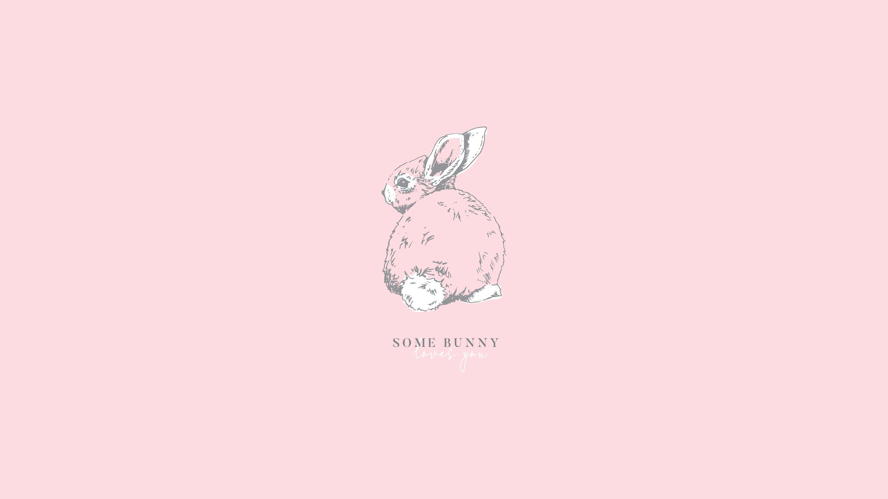 Pastel Cute Aesthetic Wallpaper Minimalist. 