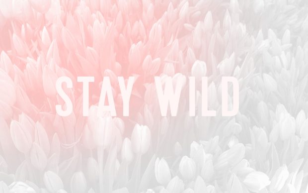 Pastel Cute Wallpaper HD Stay Wild.