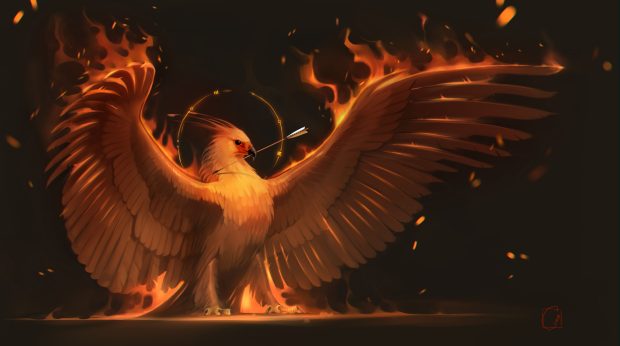 Phoenix Desktop Wallpaper.