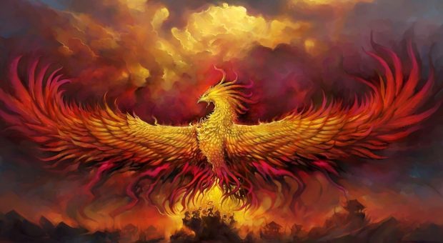 Phoenix Wallpaper HD Free download.