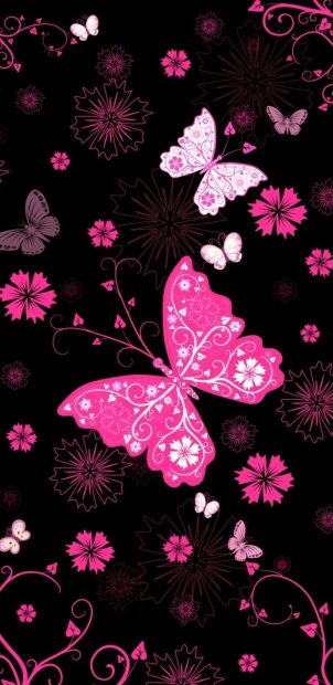 Phone Pink Butterfly Wallpaper HD.