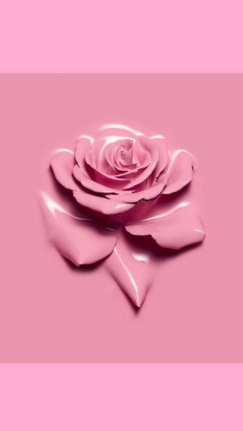 Pink Aesthetic Rose Wallpaper.