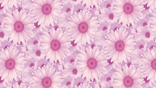 Pink Aesthetic Wallpaper Flower.